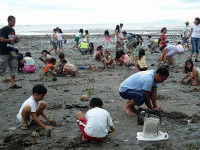 /album/photo-gallery-mangrove-reforestation/p1110872-jpg/