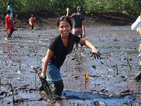 /album/photo-gallery-mangrove-reforestation/p8140771-jpg/