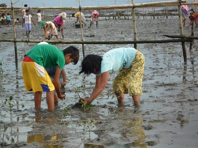 A fence was built to prevent small boats from entering the site
