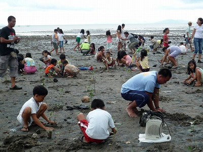 It's Sunday, so the whole family comes together to enjoy mangrove planting.